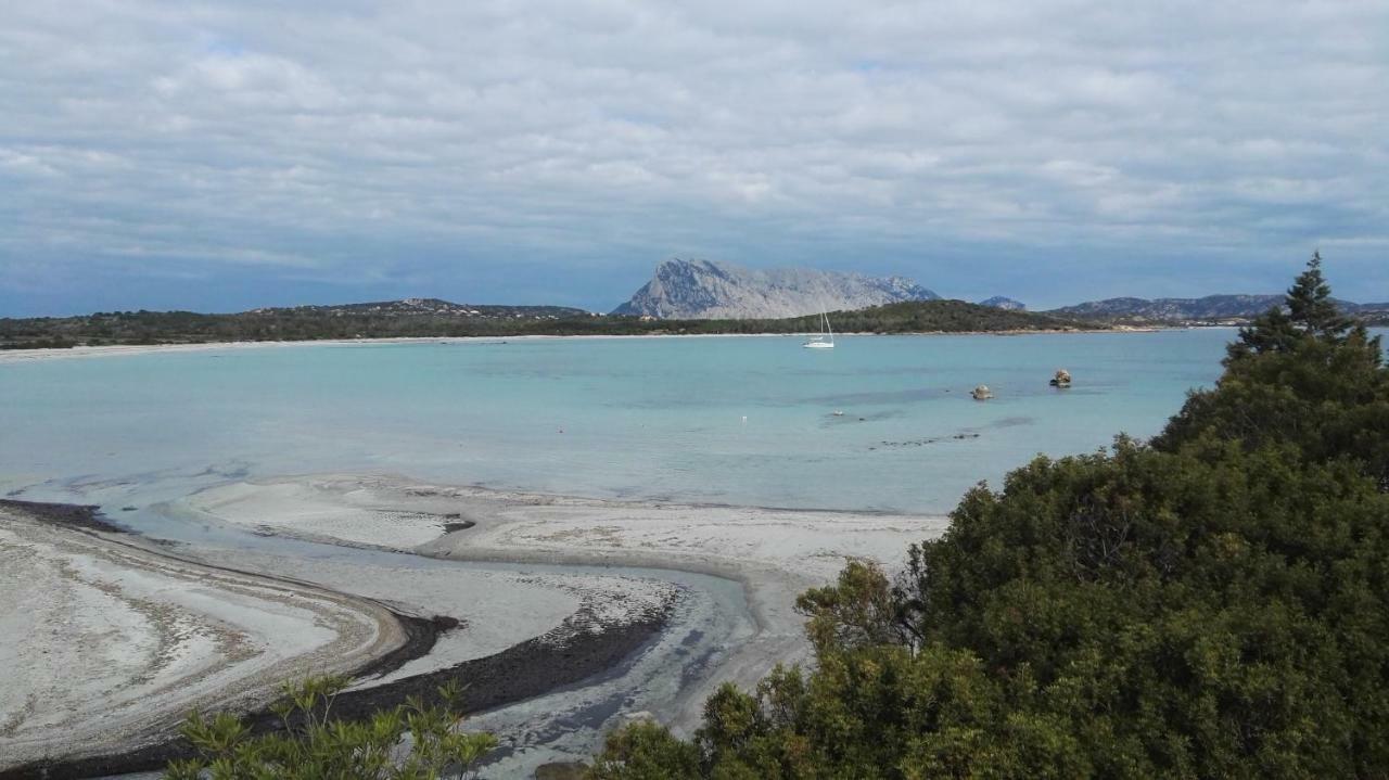 Appartamenti Sardegna ポルト・サン・パーオロ エクステリア 写真