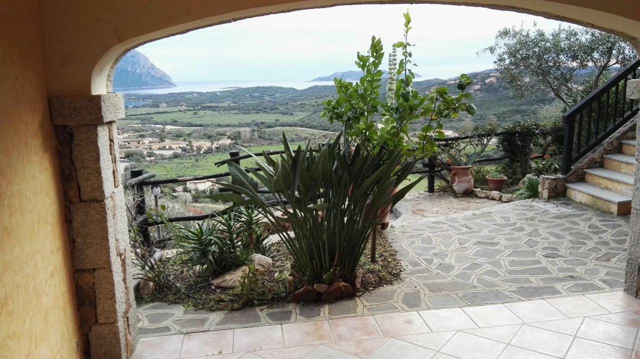 Appartamenti Sardegna ポルト・サン・パーオロ エクステリア 写真