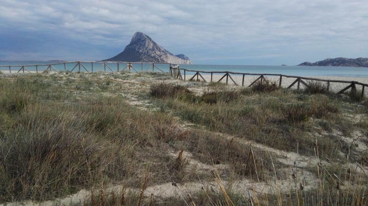Appartamenti Sardegna ポルト・サン・パーオロ エクステリア 写真