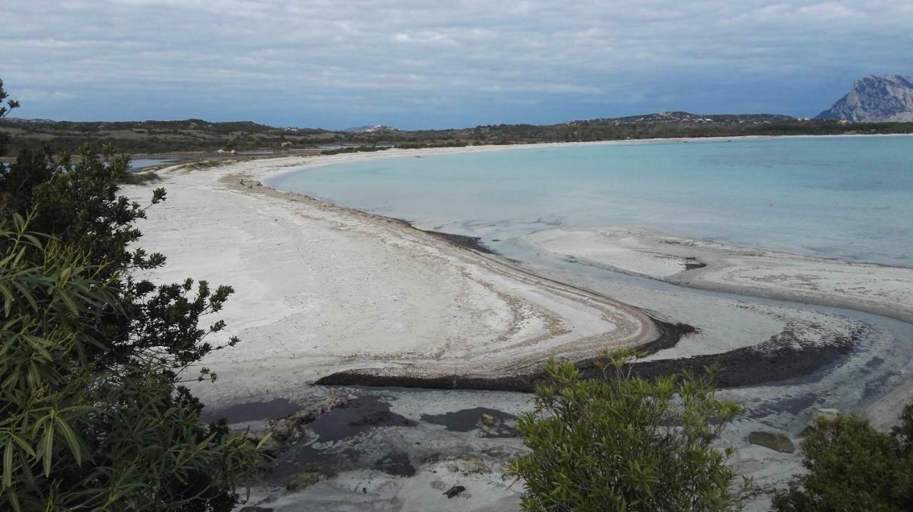 Appartamenti Sardegna ポルト・サン・パーオロ エクステリア 写真