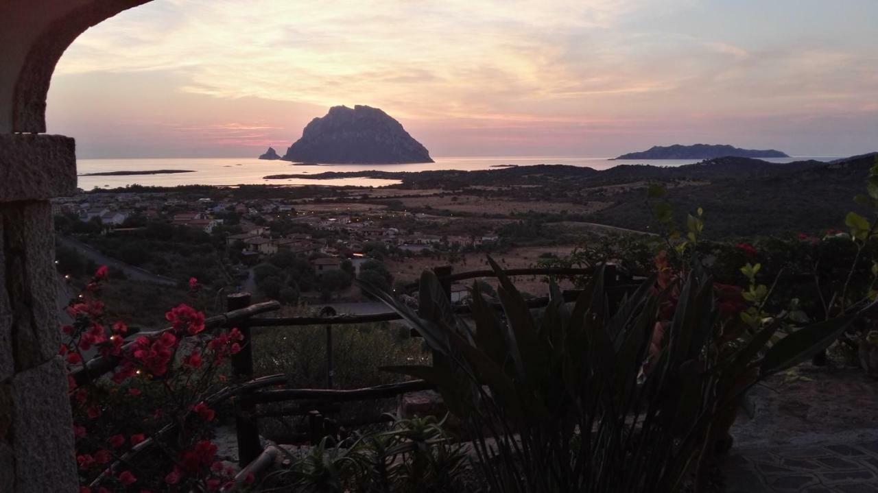 Appartamenti Sardegna ポルト・サン・パーオロ エクステリア 写真